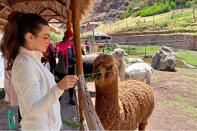 Experiences Intro Image 5