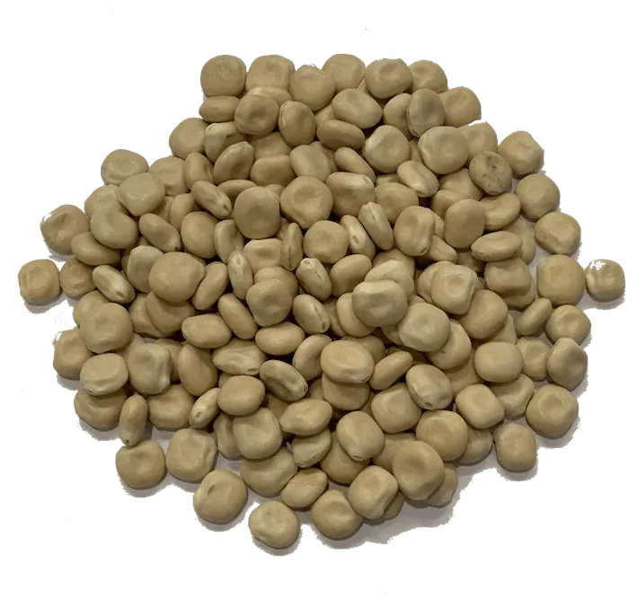 Superfood 1