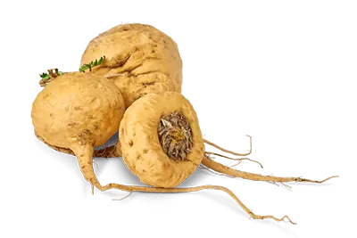 Superfood 8